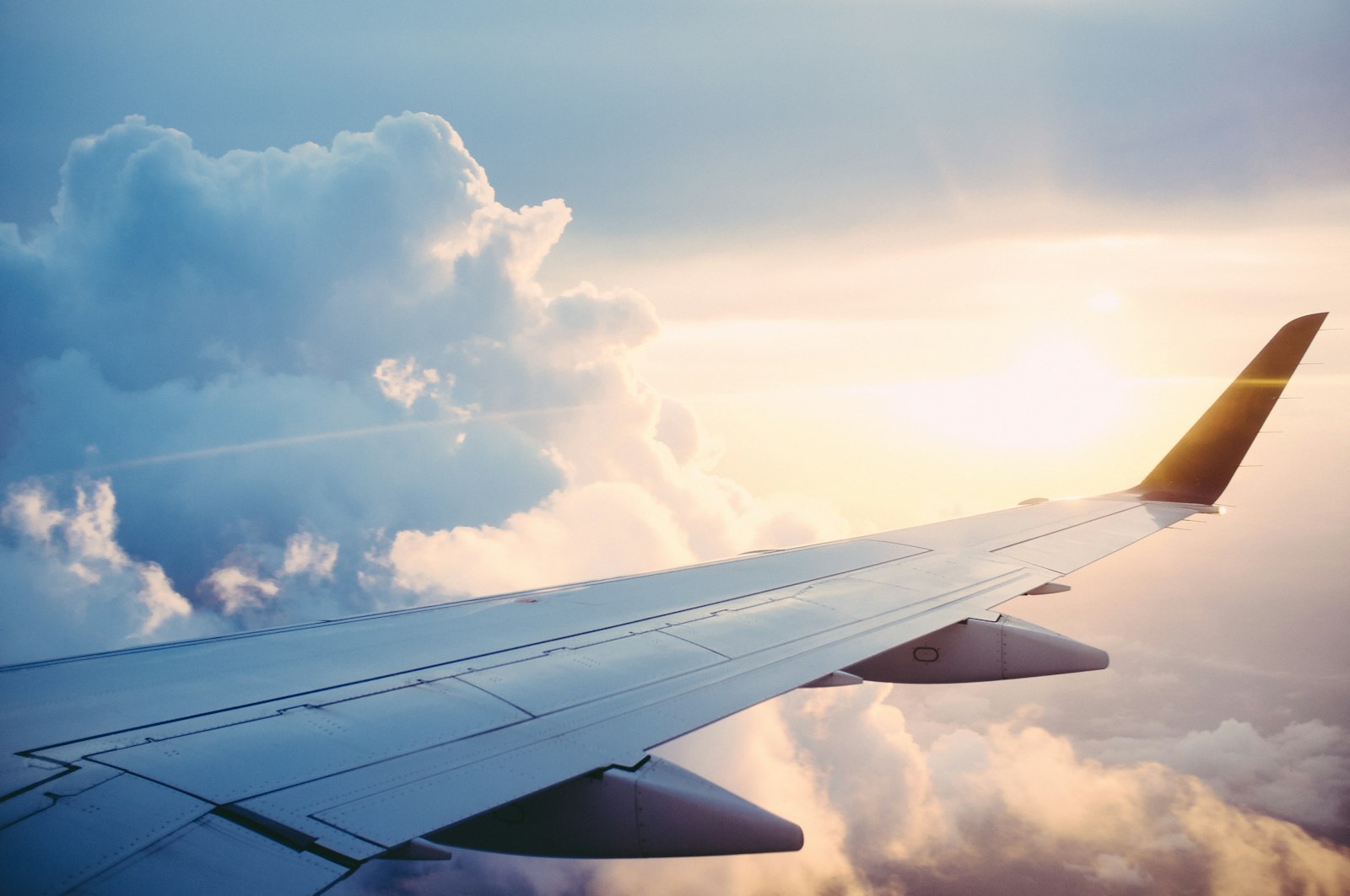 Cargo aircraft on the tarmac